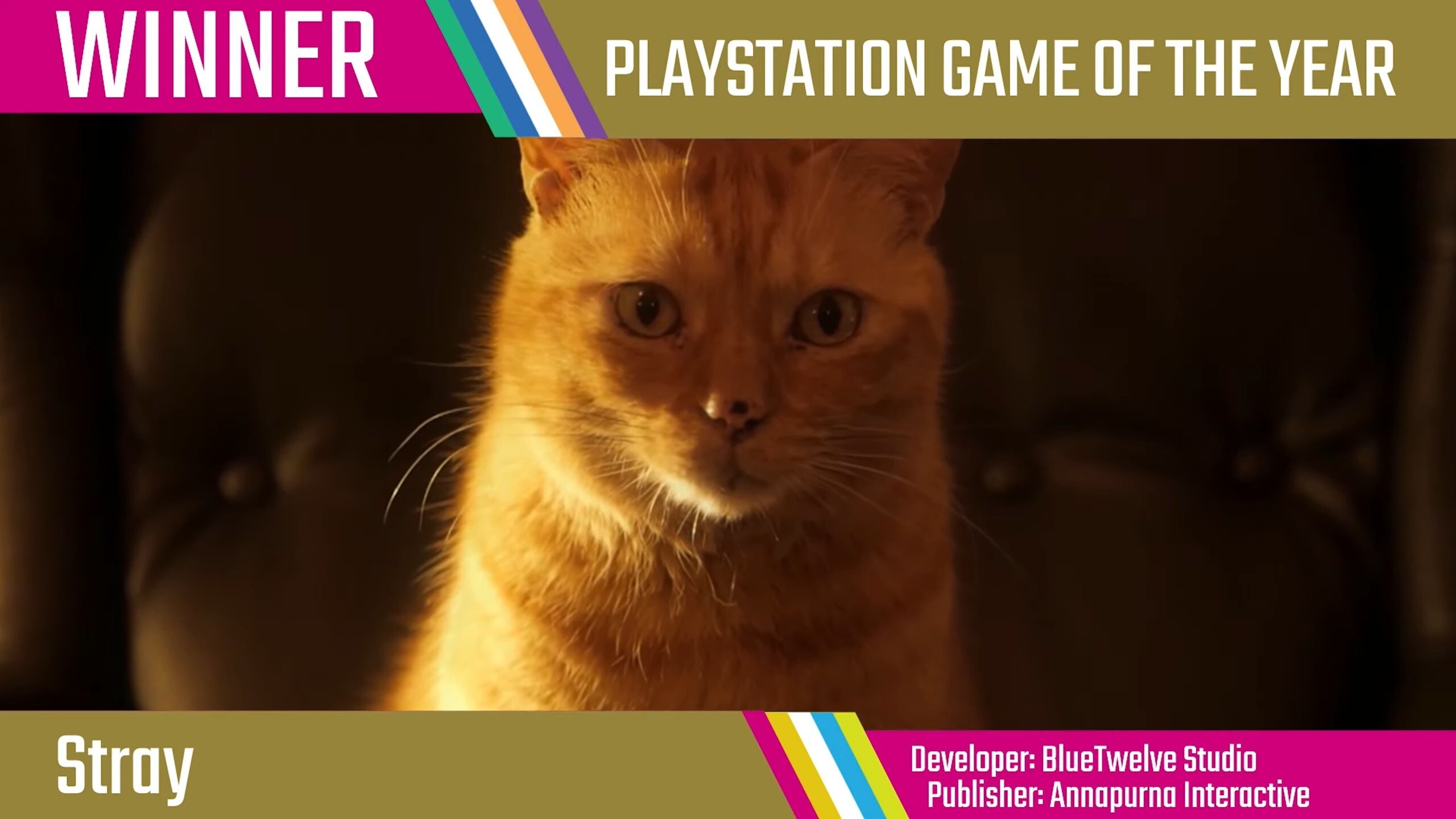 Golden Joystick Awards 2022  PlayStation Game of the Year - Stray 