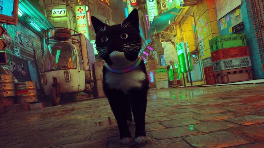 Stray' players are adding their cats to the game with mods - The Washington  Post