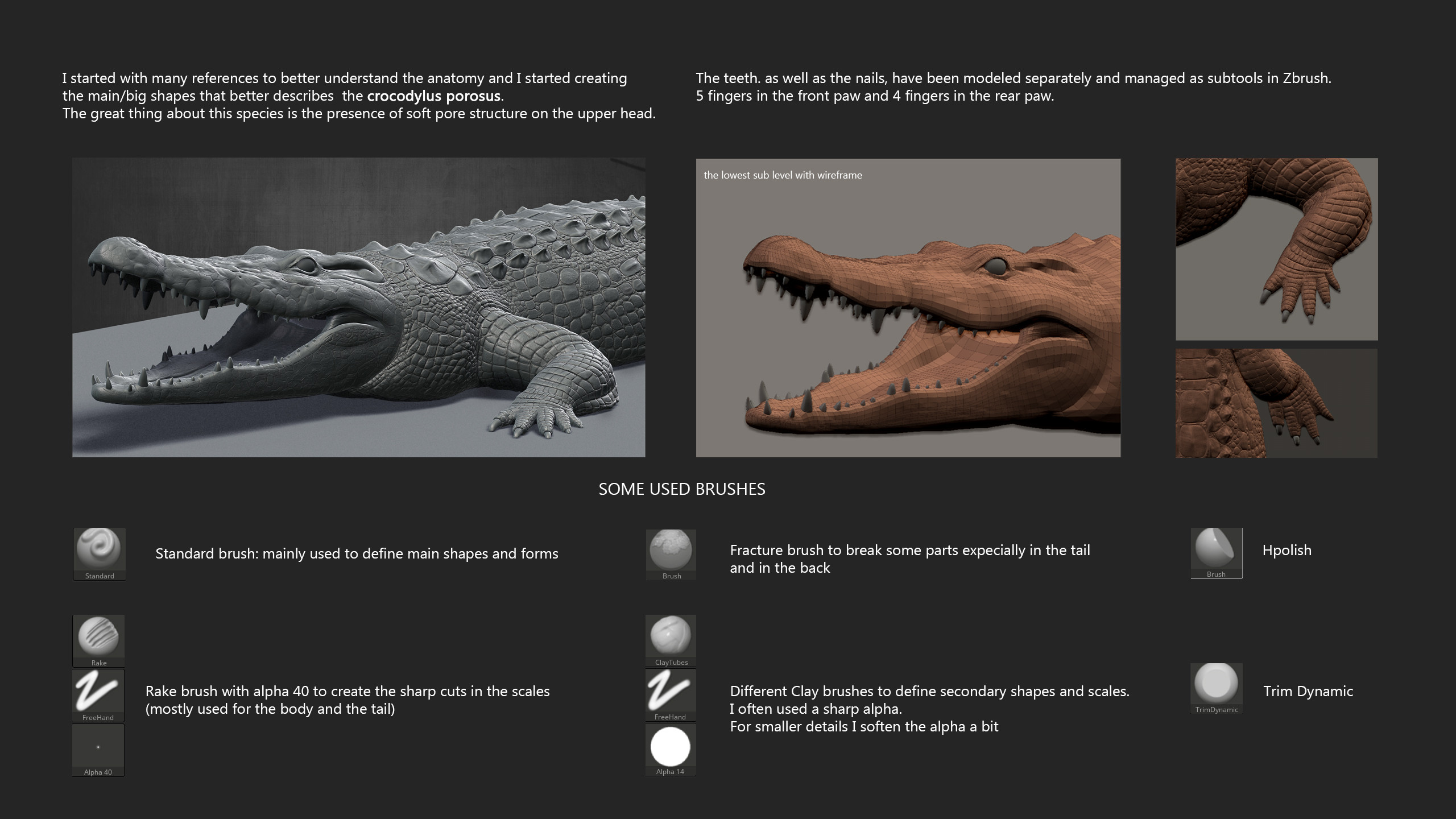 Crocodile Leather Texture – Dextrous 3D