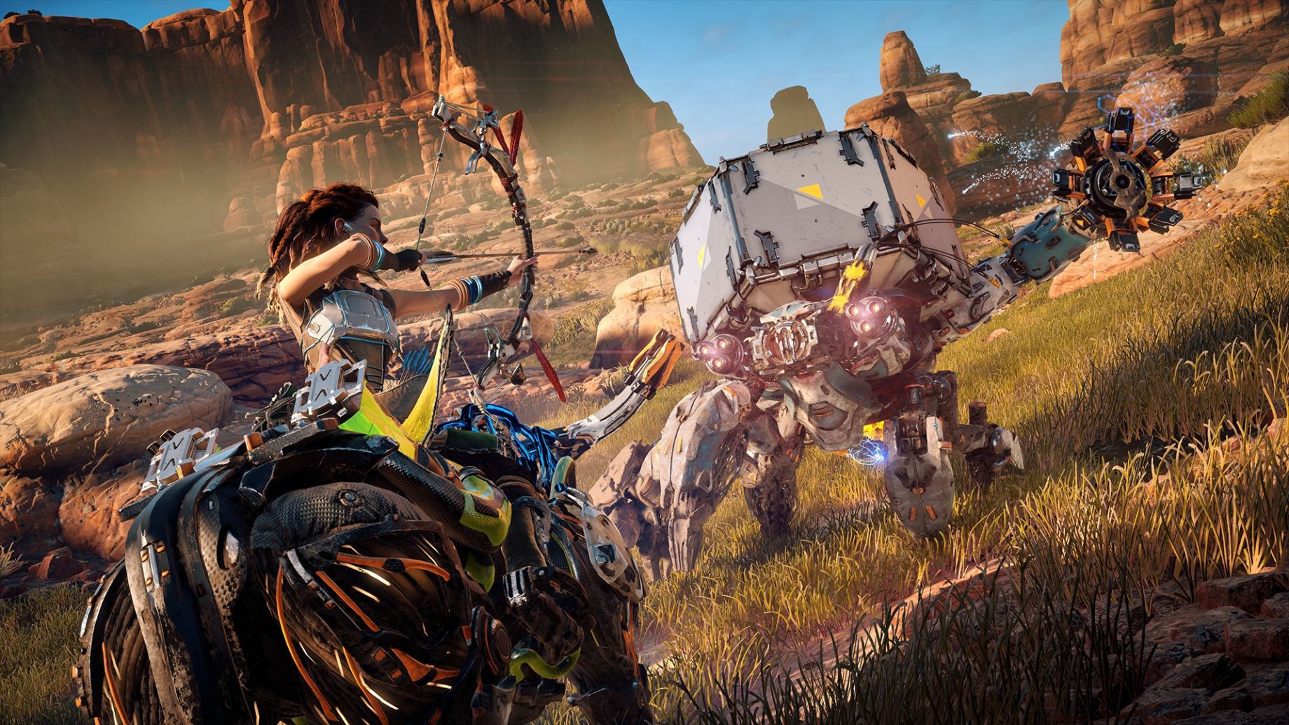 Horizon Forbidden West: Complete Edition Is Reportedly the First