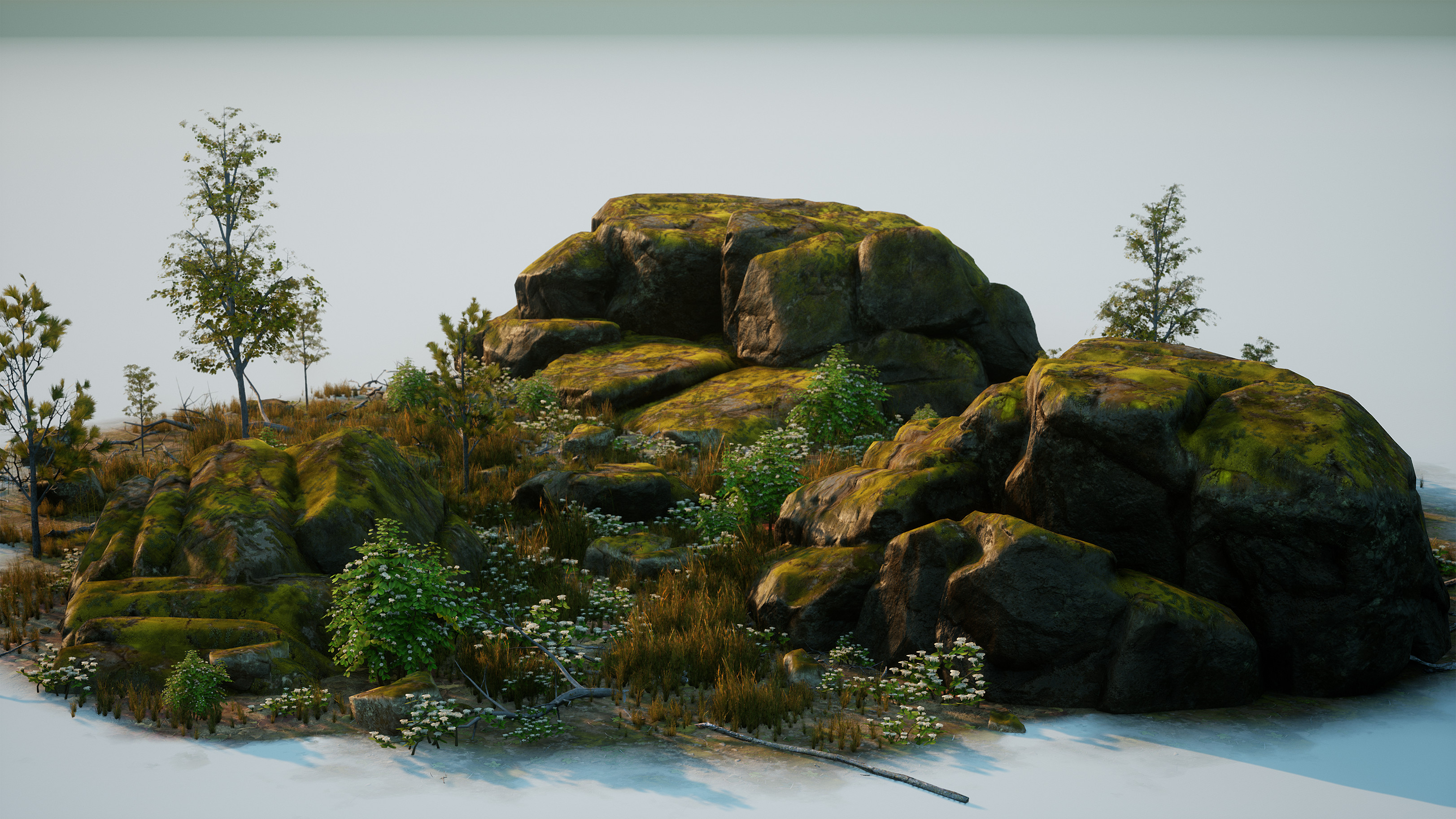 forest #way #rocks #rock #snail #tree #wierd #wild #art #gamedev