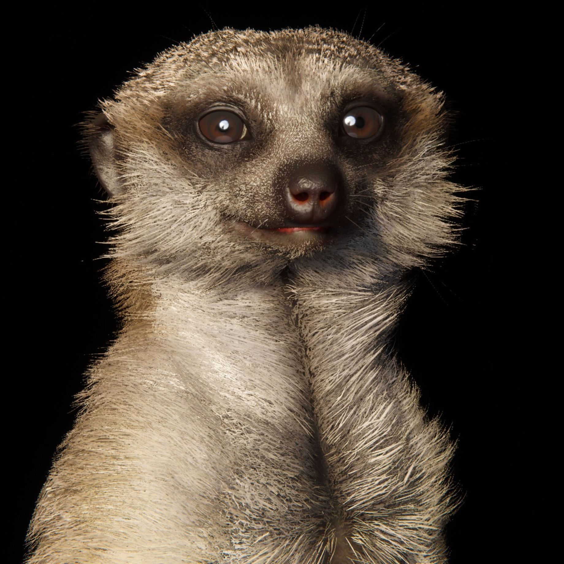 A Cute Meerkat Made in Unity