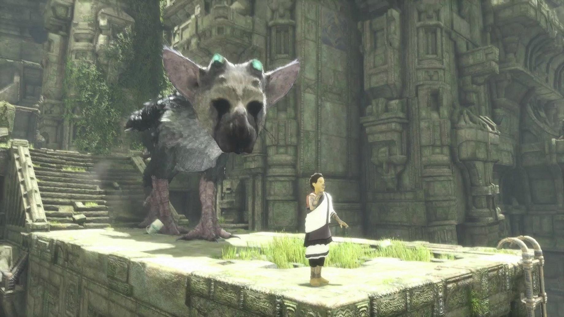 Shadow of the Colossus and Last Guardian creator's next project is