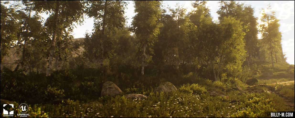 Reusable Assets and Vegetation Workflow for Games