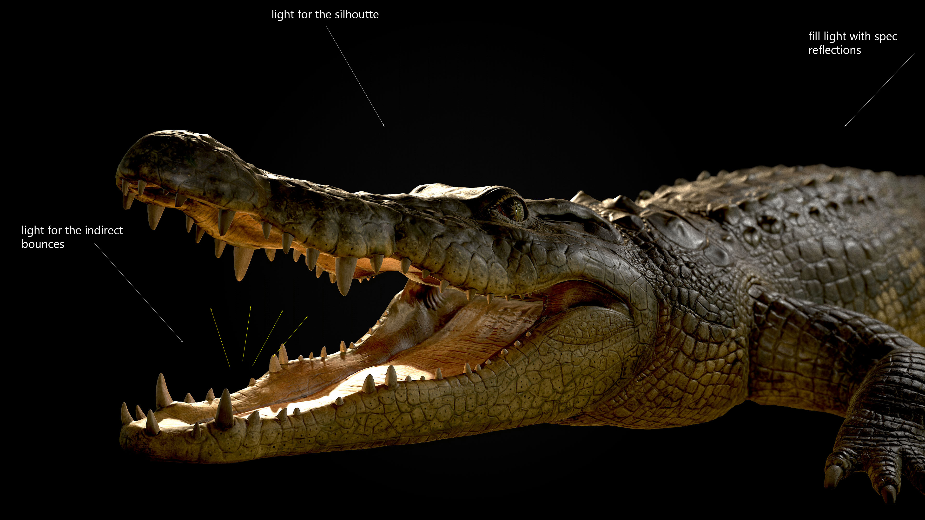 Modeling and Texturing a Realistic Crocodile in 3D