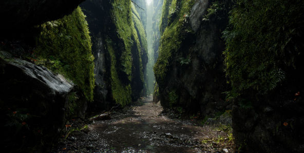 雨林洞穴： 真实场景的提示