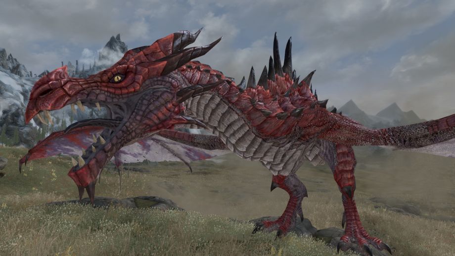 Dragon  Images de dragons, Dragons, Dragon skyrim