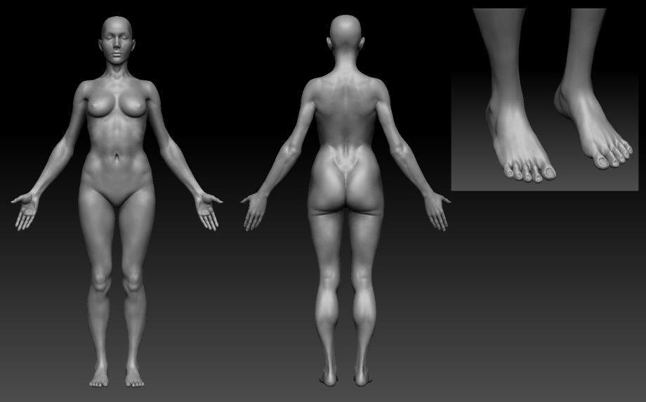 Sculpting A Detailed Body Anatomy At CGMA