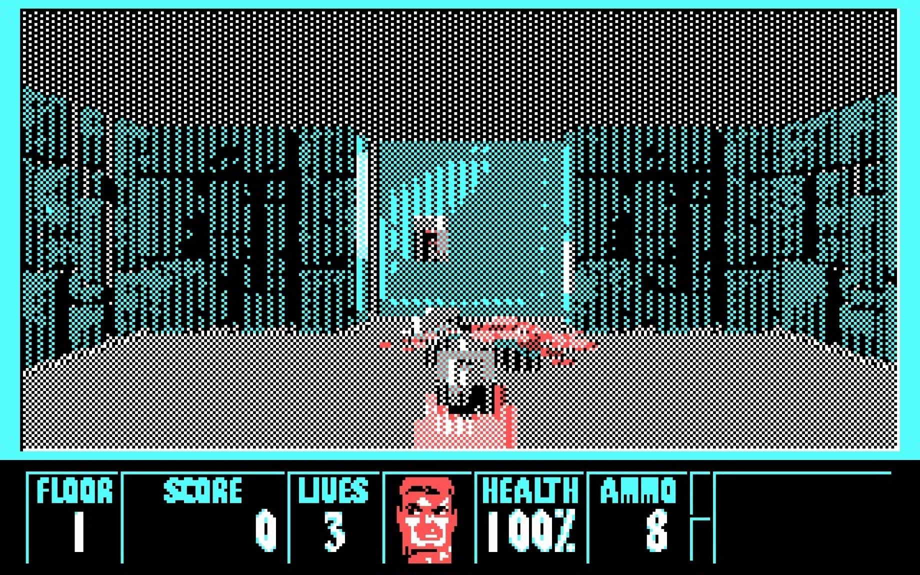 wolfenstein 3d nes