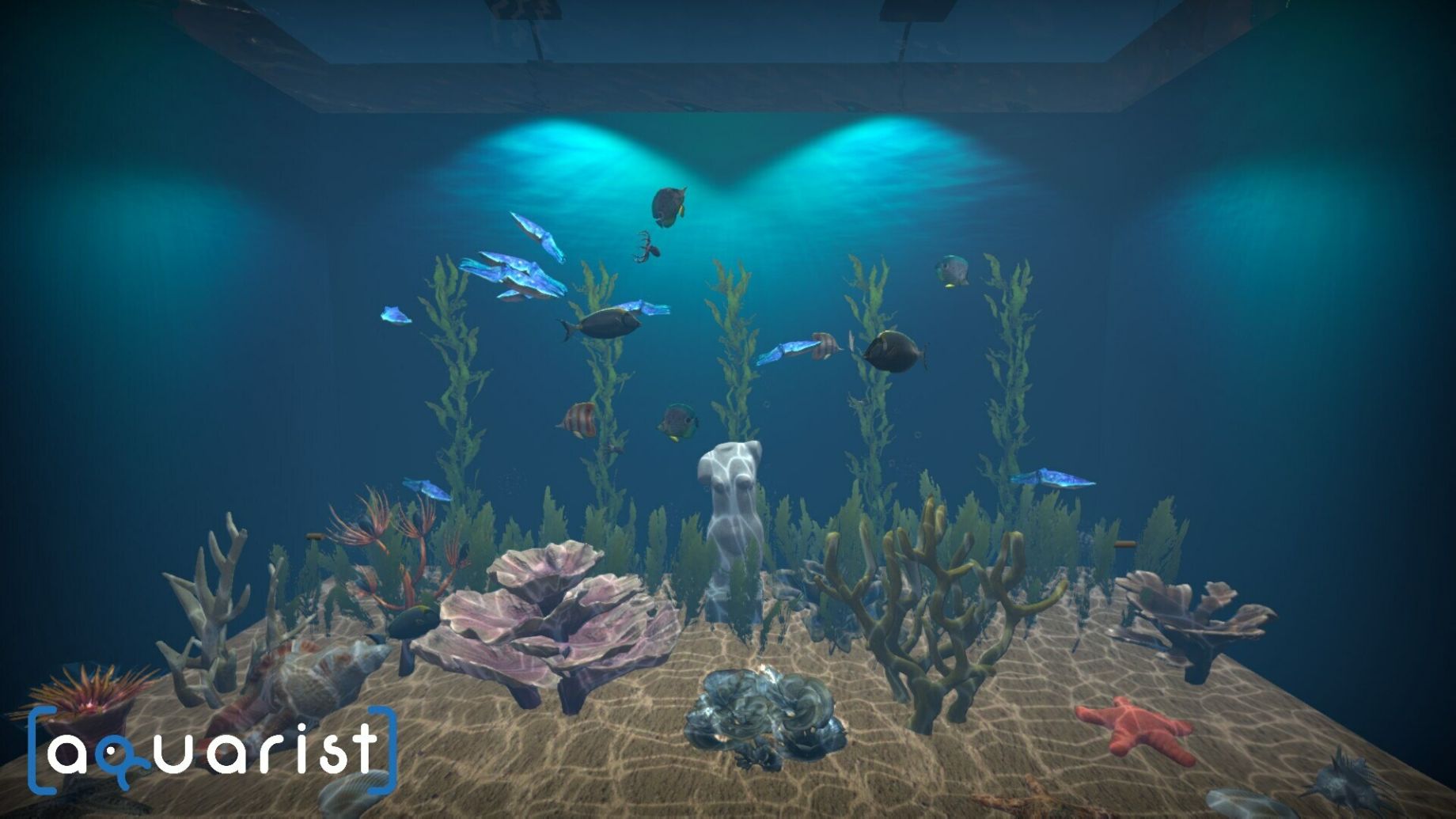 Dive Into A Wonderful Underwater World In This Sandbox Sim Game