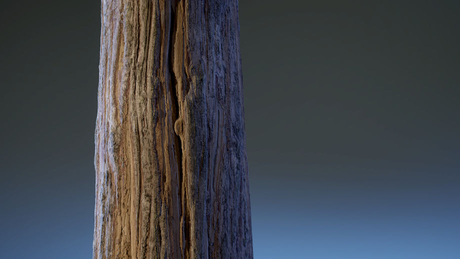 tree substance painter