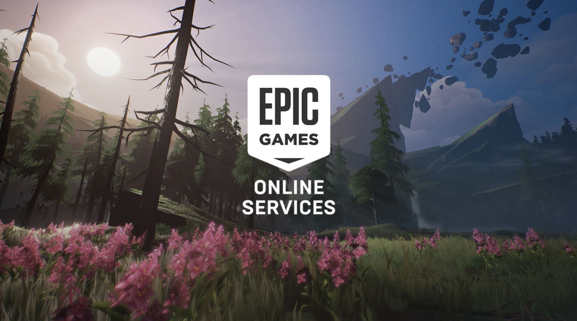 Epic Online Services featuring Epic Account and Game Services - Epic Online  Services