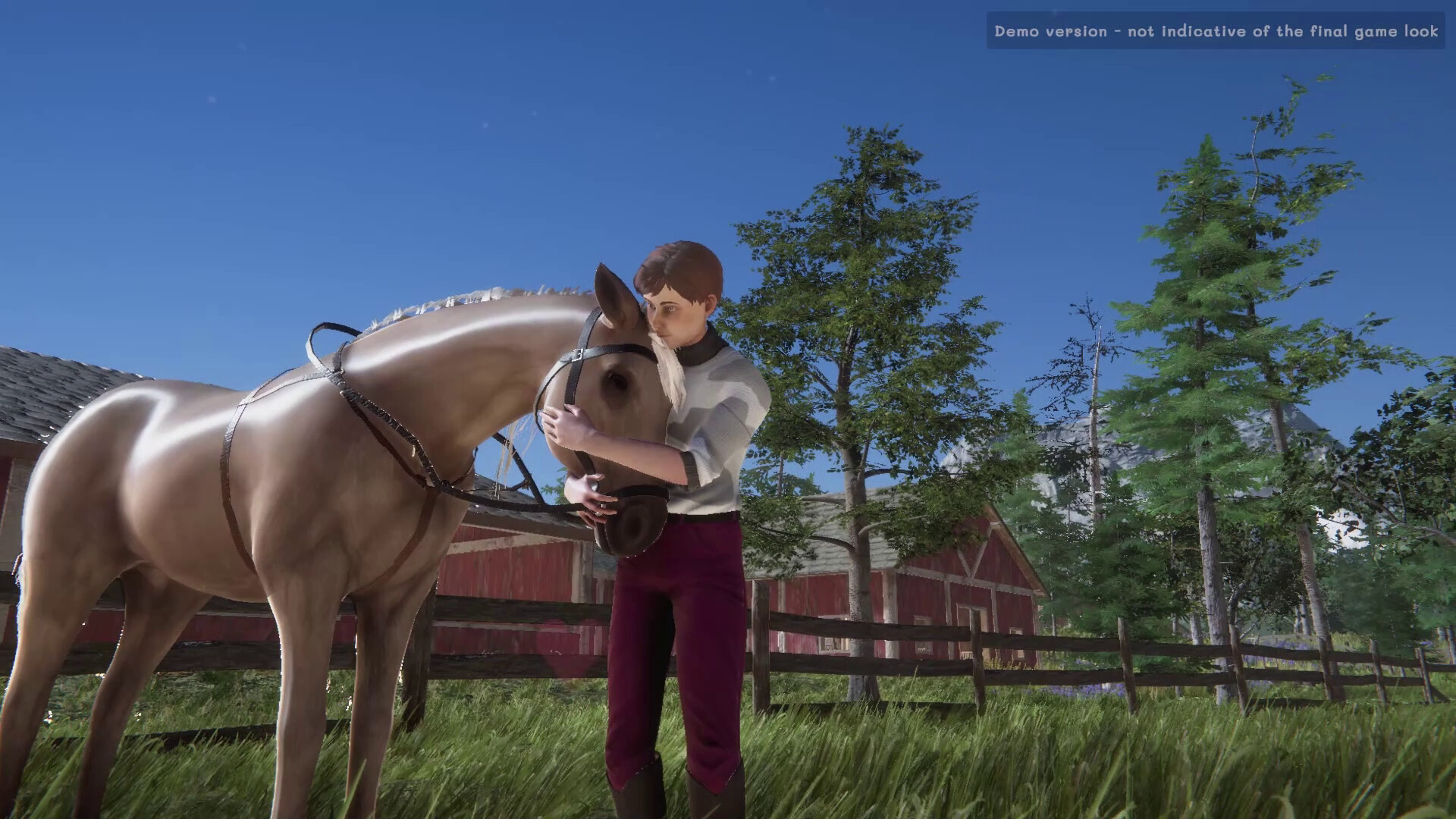 Build a Strong Bond with Your Customized Horse in This Casual SIM Game