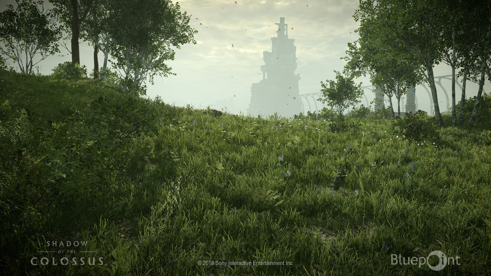 Shadow of The Colossus: Remaking the Legend