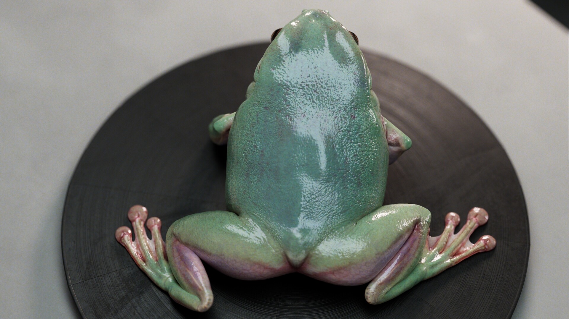 Lifelike 3D Frog Model & Animation by Gabriel Lebel Bernier