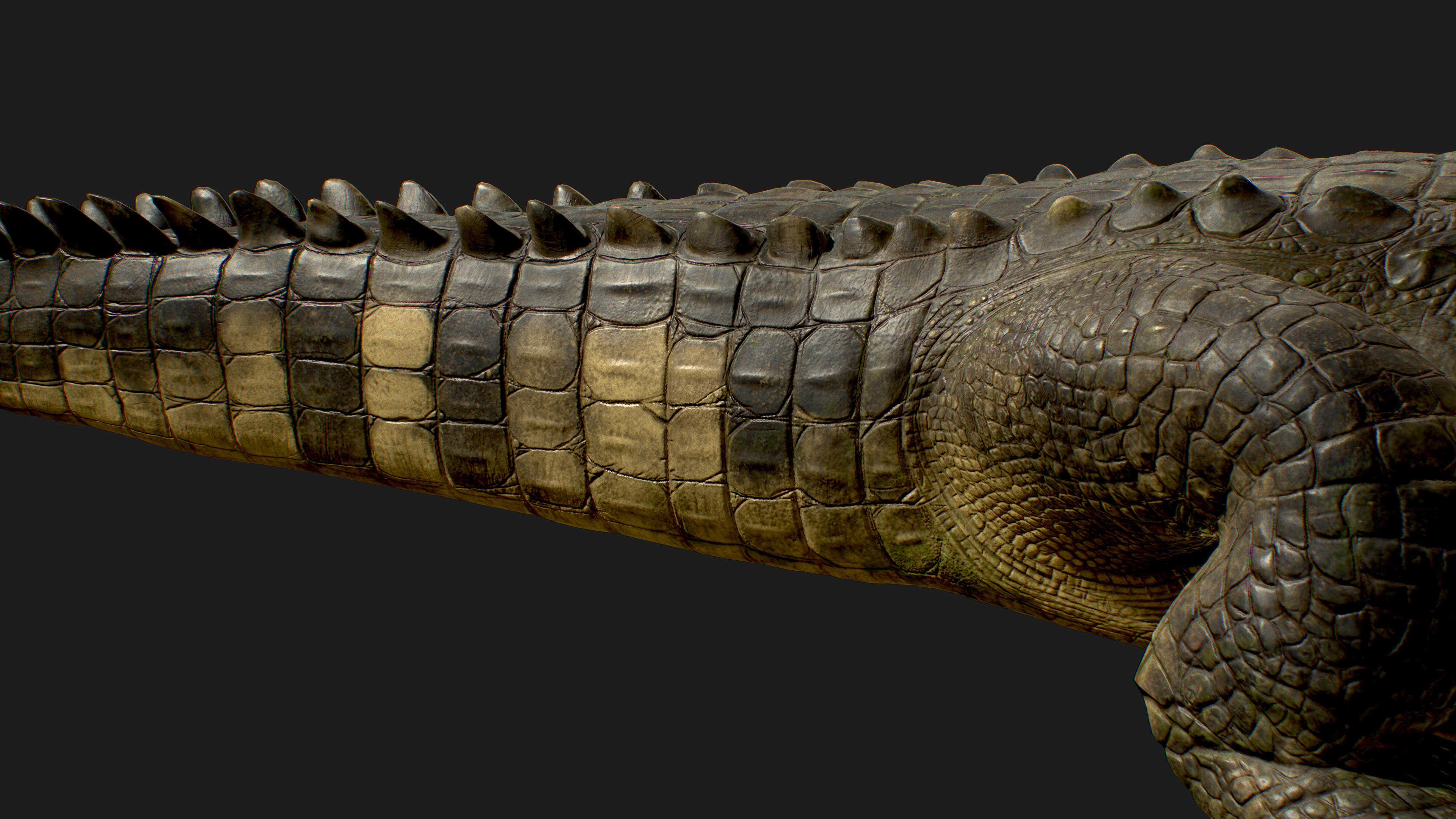 Modeling and Texturing a Realistic Crocodile in 3D