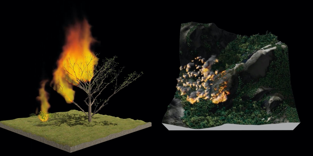 Simulating Realistic Wildfires In 3D