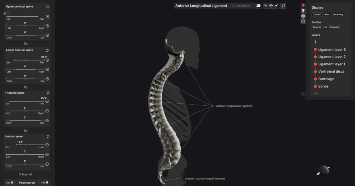 Anatomy Standard: Useful Resource for Studying Human Body in 3D