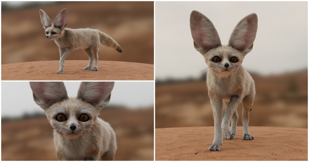 Lifelike Fennec Fox Model Groomed in Houdini