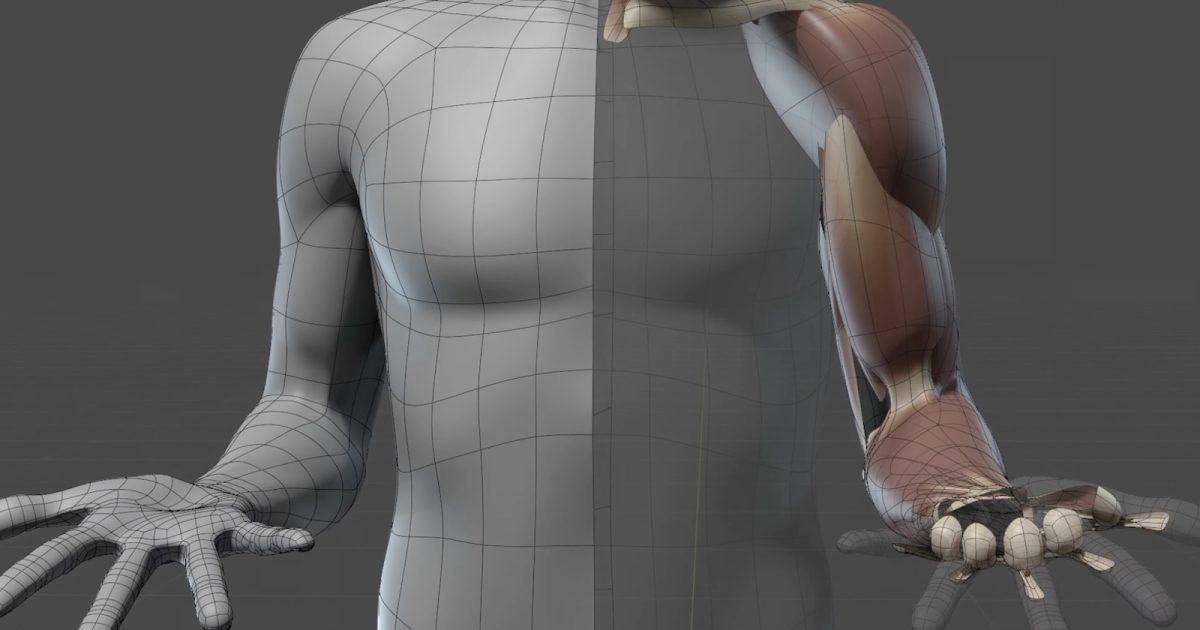 Chris Jones Showcases a Great Muscle Simulation Made With Blender