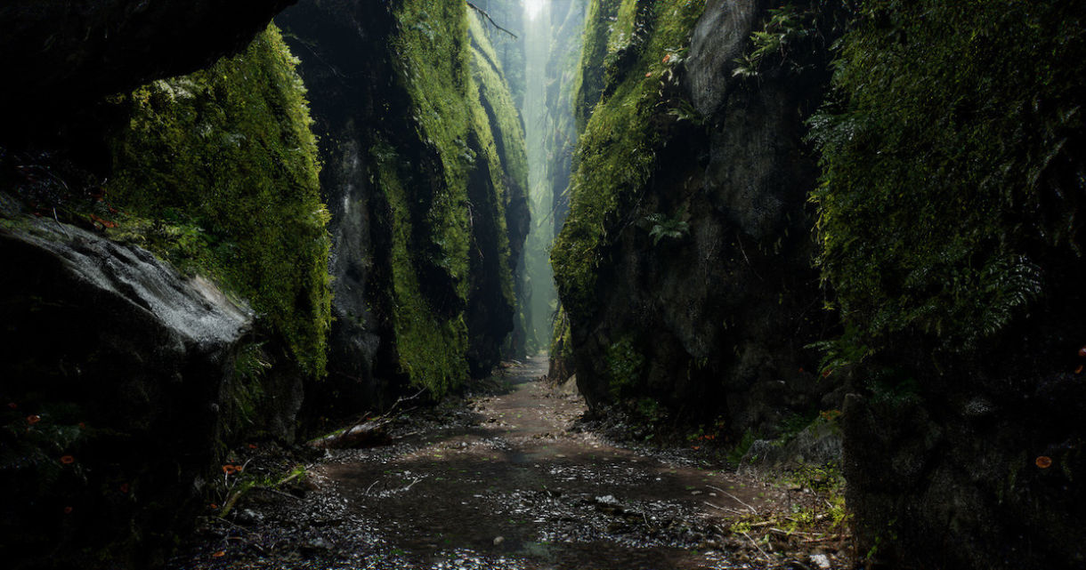 雨林洞穴： 真实场景的提示