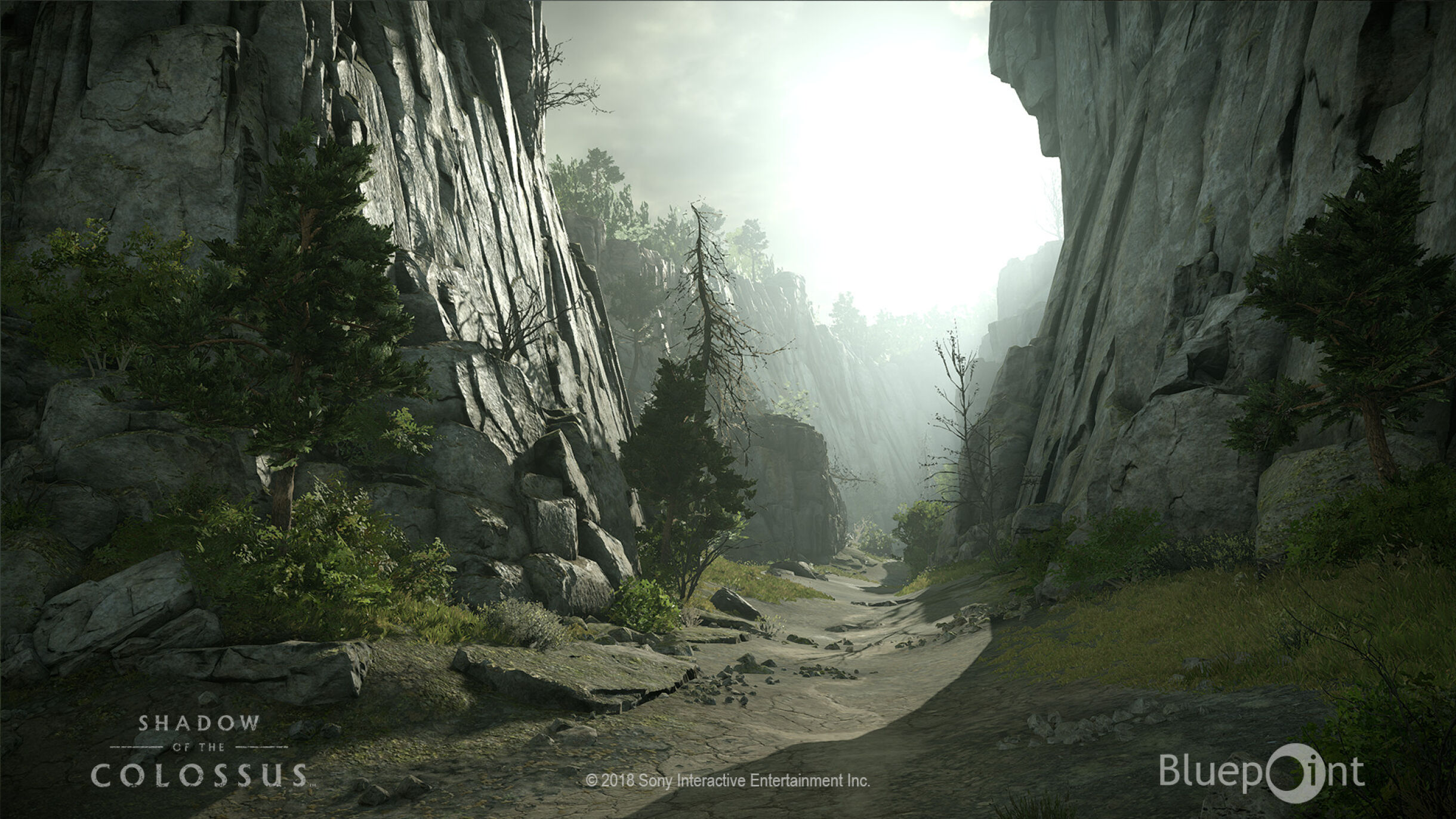 Shadow of the Colossus PS4 Remake Changes You May Not Notice