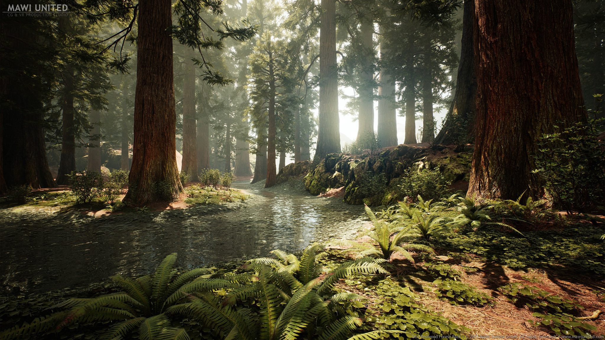 Procedural Redwood Forest From Mawi