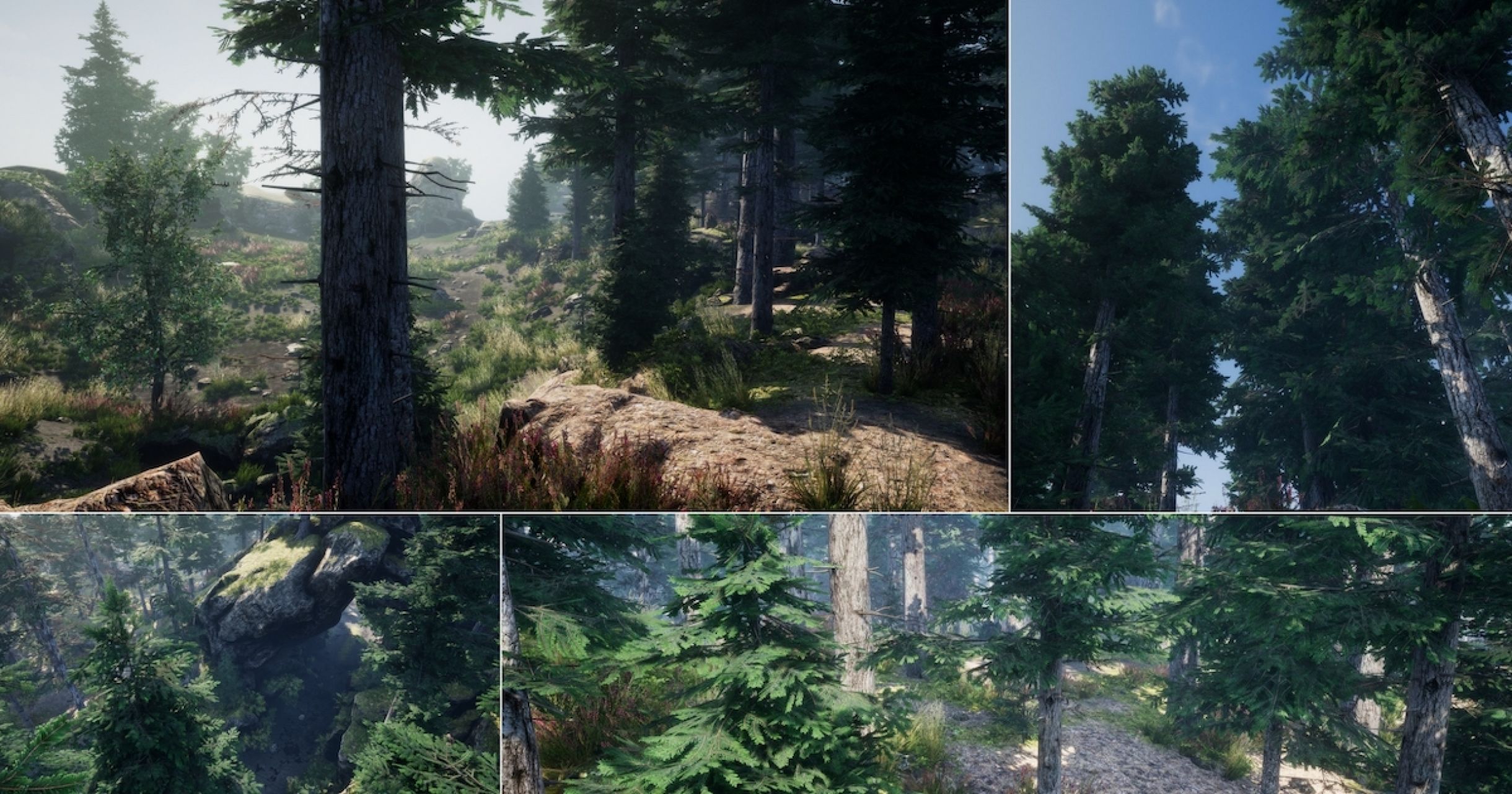 Leaf Tree Forest Biome in Environments - UE Marketplace